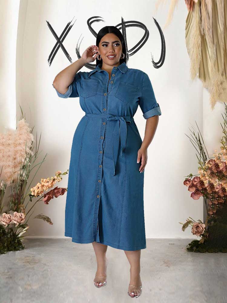 Winter Clothing Wholesale - Chubby Womens Dresses Autumn Winter Elegant