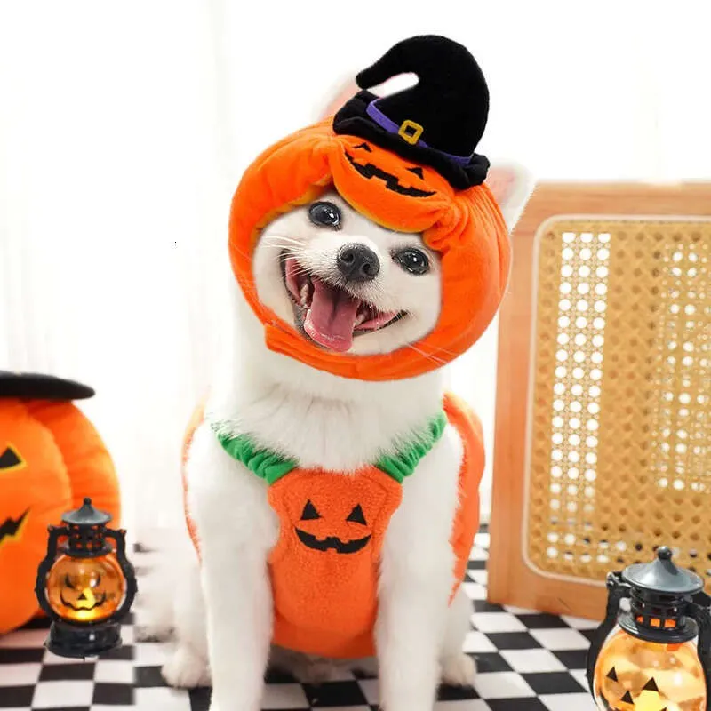 Winter Clothing Brand Names - Face Autumn Clothes Winter And Dog