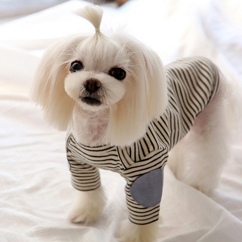 Thin Pet Dog Hoodies Fleece Do - Winter Clothing For Dogs recension och pris