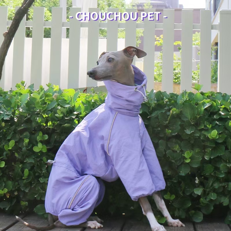 Italian Greyhound Raincoat Aut - Winter Clothing For Dogs recension och pris