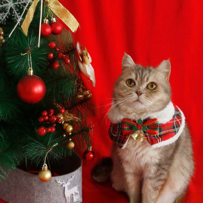Cat Christmas Cloak Pet New Ye - Winter Clothing For Dogs recension och pris
