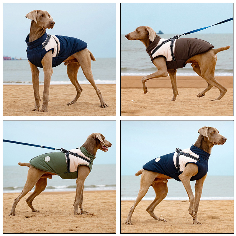 Warm Dog Vest With Built-in Ha - Winter Clothing Line recension och pris