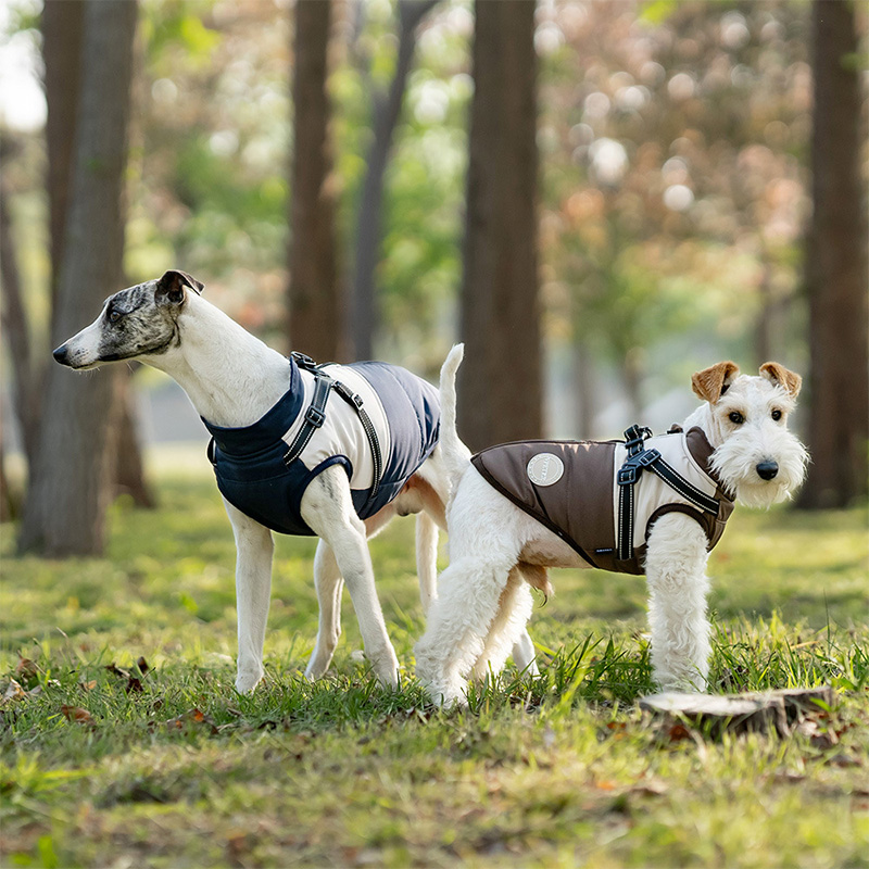 Warm Dog Vest With Built-in Ha - Winter Clothing Line recension och pris