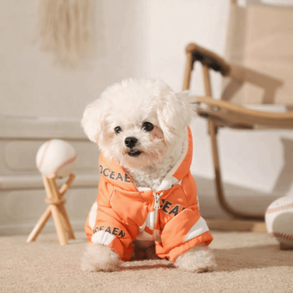 Cute Warm Dog Winter Clothes A - Winter Clothing Line recension och pris