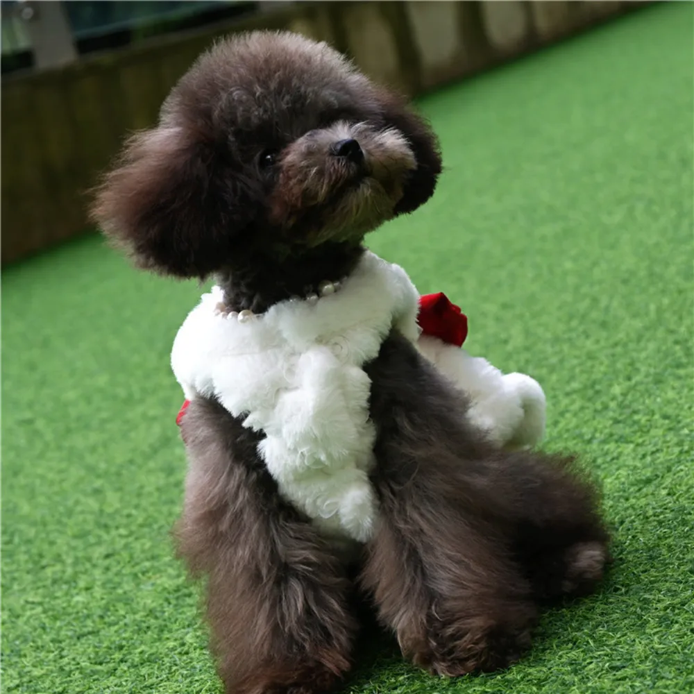 Pet Rabbit Fur Dress Clothes C - Winter Clothing For Dogs recension och pris