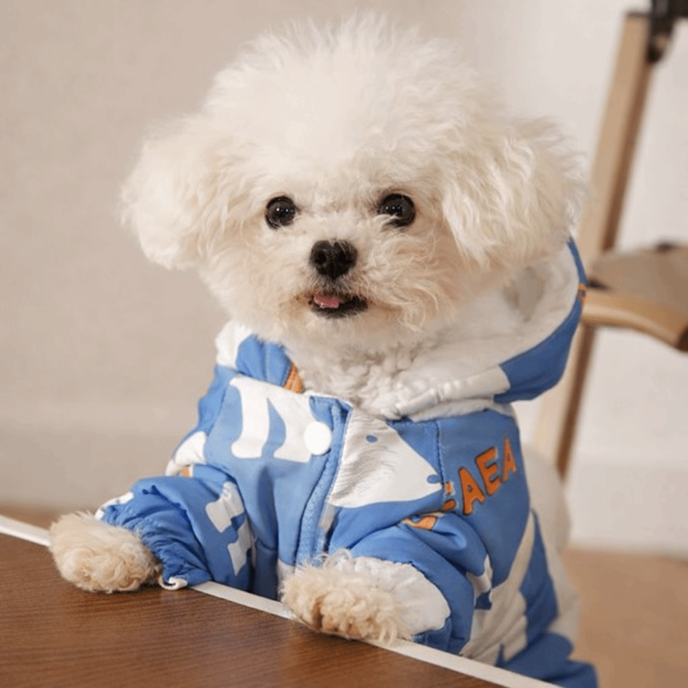 Cute Warm Dog Winter Clothes S - Winter Clothing Line recension och pris