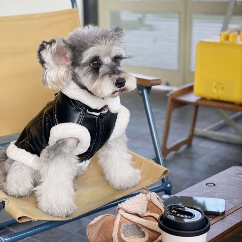 Pet Autumn Winter Velvet Sleev - Winter Clothing For Dogs recension och pris