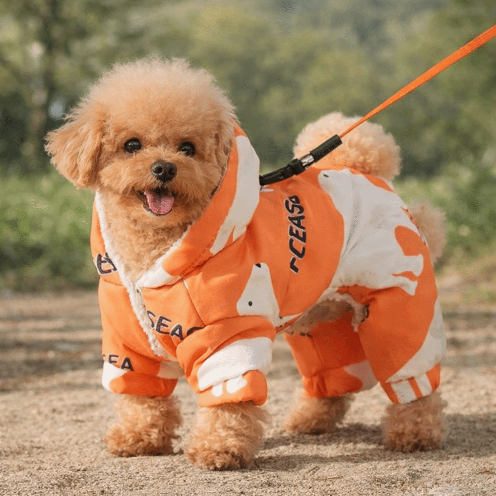 Cute Warm Dog Winter Clothes A - Winter Clothing Line recension och pris