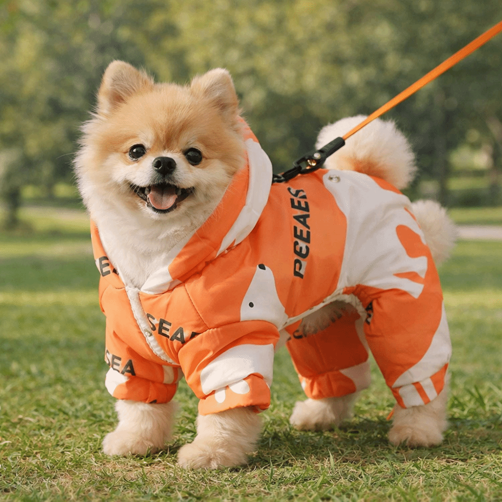 Cute Warm Dog Winter Clothes A - Winter Clothing Line recension och pris